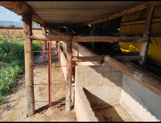 249.90HA FARM FOR SALE IN WATERVAL S H
